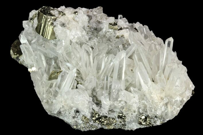 Gleaming Pyrite & Quartz Crystal Association - Peru #124440